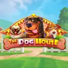 The Dog House (Дог Хаус)