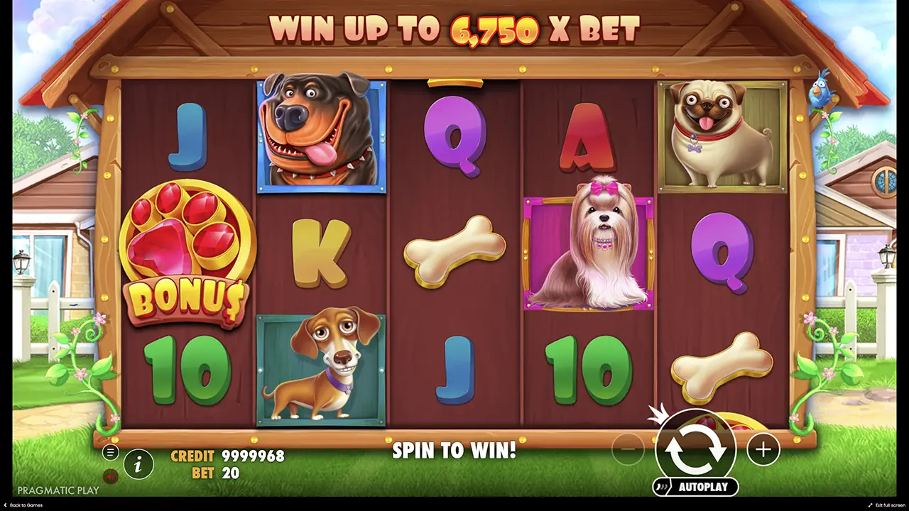 Як виграти в Dog House