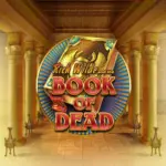 Ігровий автомат Book of Dead